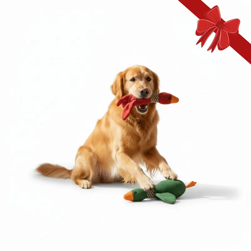 Novedad Wonder Christmas Juguete Pato Navideño para perros