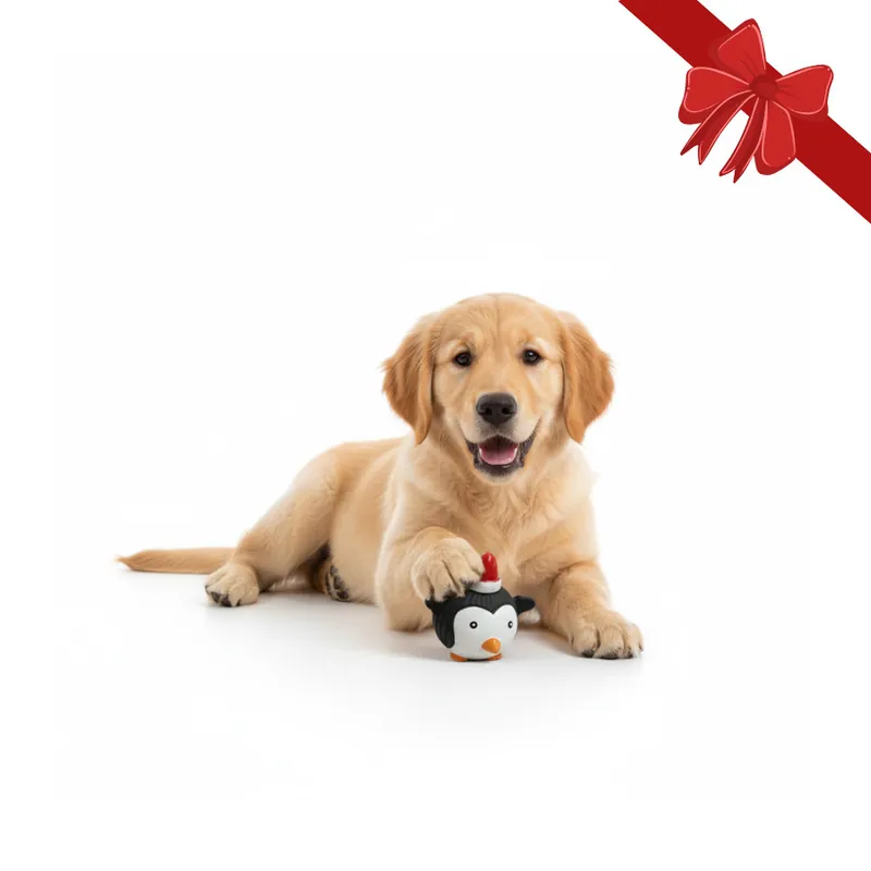 Bestseller Wonder Christmas Pelota de Pingüino Navideña para perros