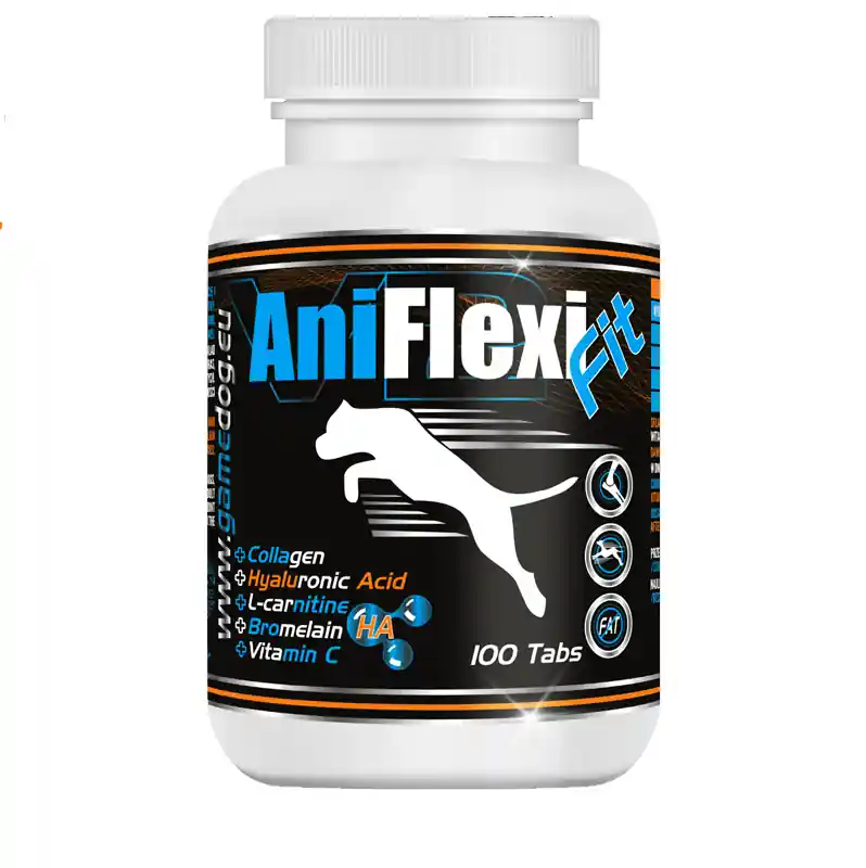 Última Versión Game Dog AniFlexi V2 FIT para perro