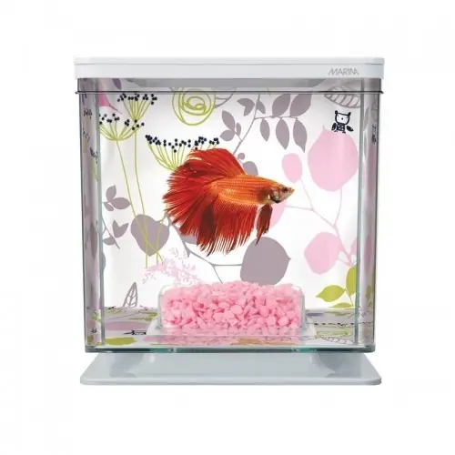 Solo Por Tiempo Limitado Kit betera Marina Betta para peces, colores Varios